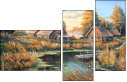 21443307