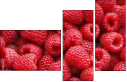 22816665