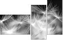 23180311