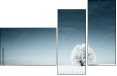 23439667