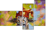 23864651