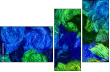 262127014