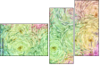 269624780