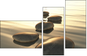 27492911
