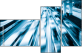 29361269