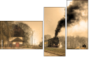 29517510
