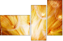 30258126