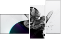 30296813
