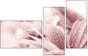 31030439