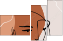311289250