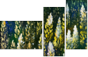 32753378