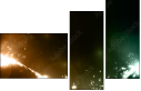 33007658
