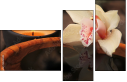 33218303