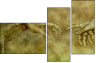 35198447
