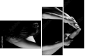35216204