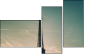 35687420