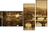 36297051