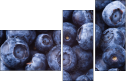 38114663