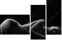 38857159