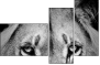 39012933
