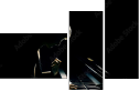 39076557