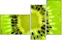 39788047