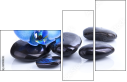 39900290