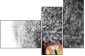 41365560