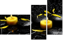 43880281