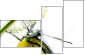 44679167