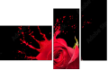45070058