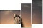 46097266