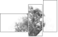 47020348