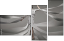 47917557