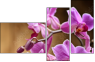 48156250