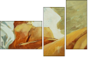 48308195
