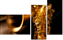 49029894