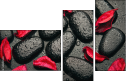 49357610
