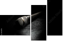 49444214