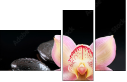 49497530