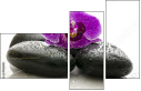 49566180