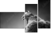 49654340