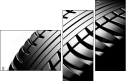 49674253