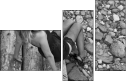 4970486