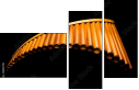 50197019