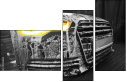 50351832