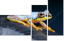 50366264