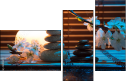 50934171