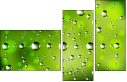 51217403