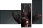 52116617